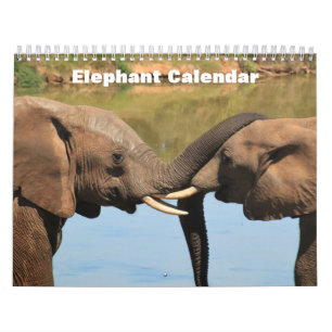 Elephant 2027 calendar