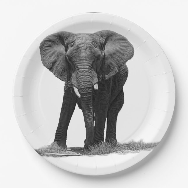 ELEPHANT 2 PAPER PLATE (Front)