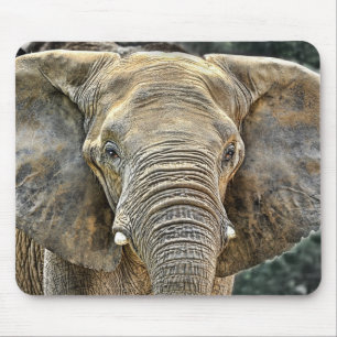 Elephant African All Ears Mouse Mat