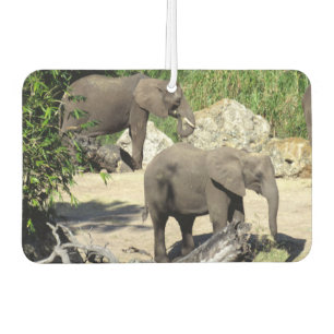 Elephant Air Freshener