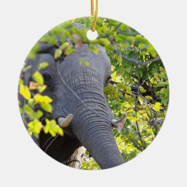 ELEPHANT AMONG THE GREEN LEAVES Ornament (Front)