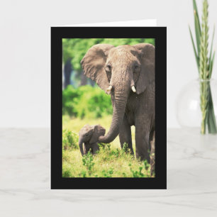 Elephant and Baby Card
