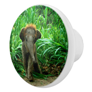 Elephant and Grass Ceramic Knob