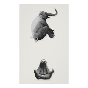 Elephant and Meditating Sloth Harmony Photo Print