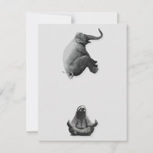 Elephant and Meditating Sloth Harmony Postcard