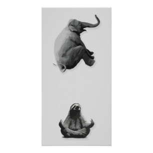 Elephant and Meditating Sloth Harmony Poster