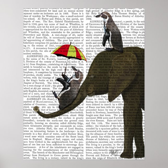Elephant and Penguin Poster (Front)