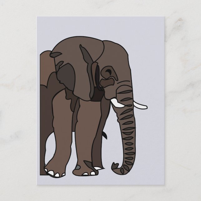 Elephant Animal Elephant Postcard (Front)