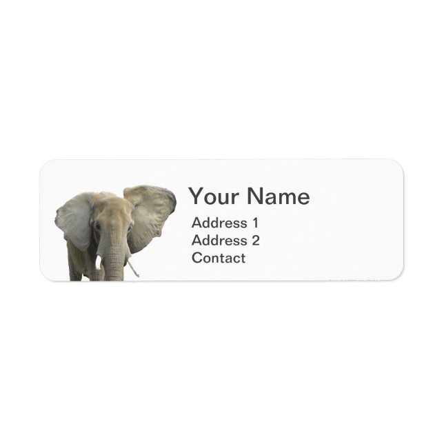 Elephant Animal Photo (Front)