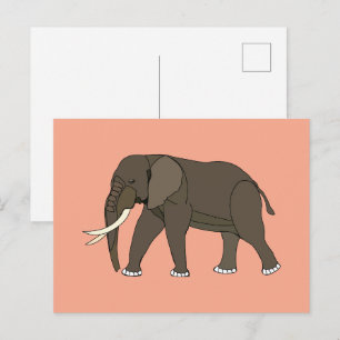 Elephant Animal Postcard