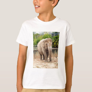 Elephant animal T-Shirt