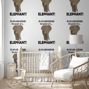 Elephant Animal Wildlife Funny Elephant Wallpaper