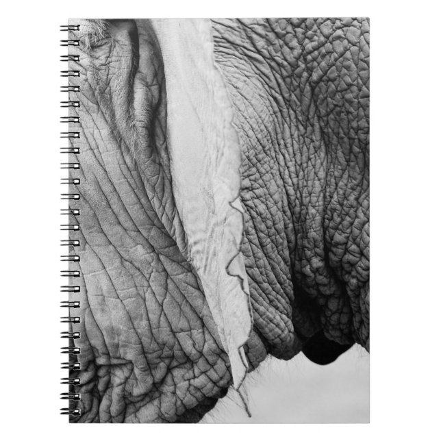 Elephant animal wildlife skin notebook (Front)
