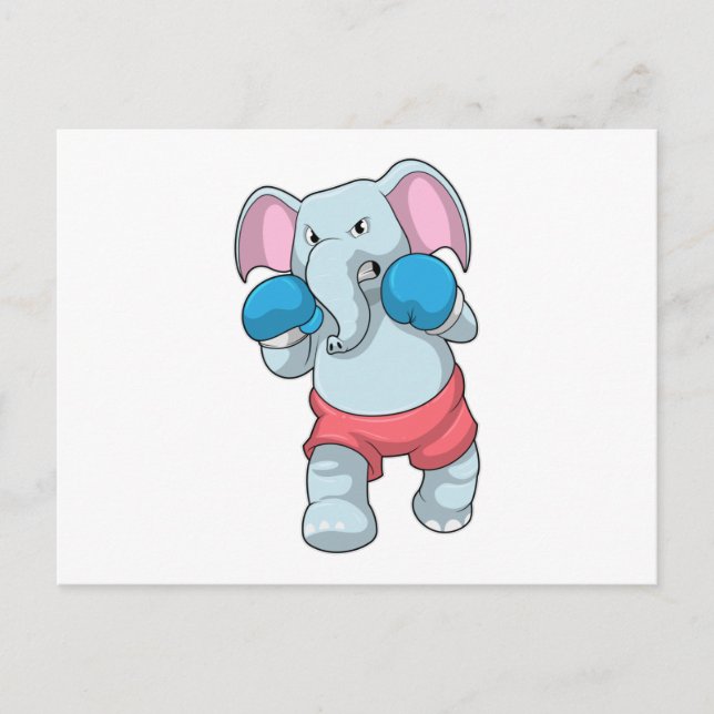 Elephant at Boxing with Boxing gloves Postcard (Front)