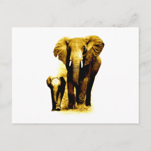 Elephant & Baby Elephant Postcard