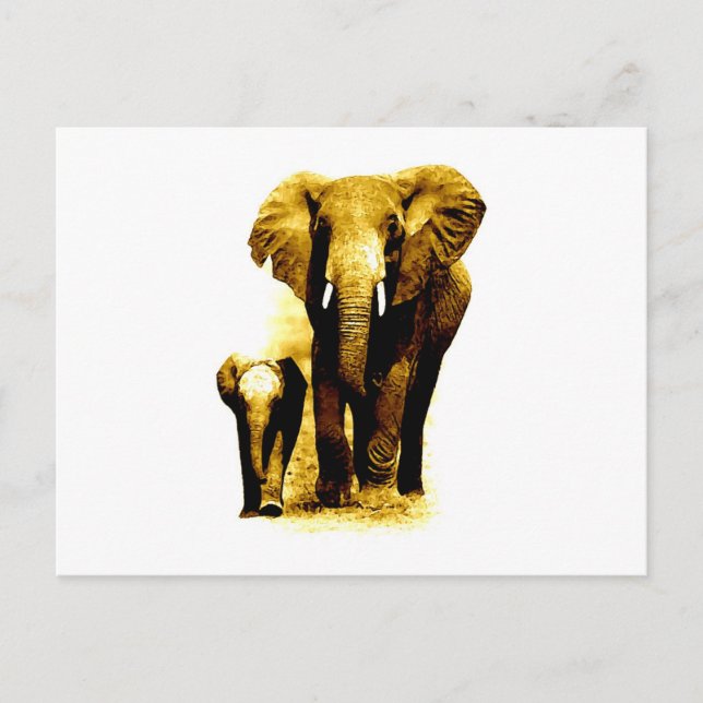 Elephant & Baby Elephant Postcard (Front)