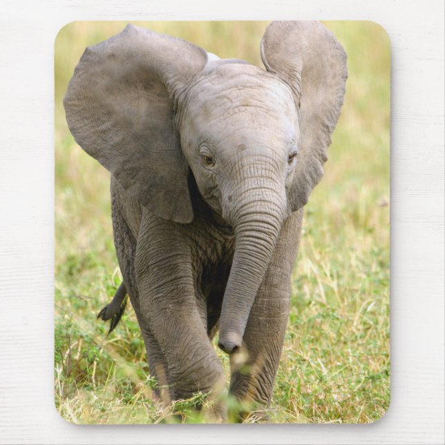 Elephant Baby Mouse Mat (Front)