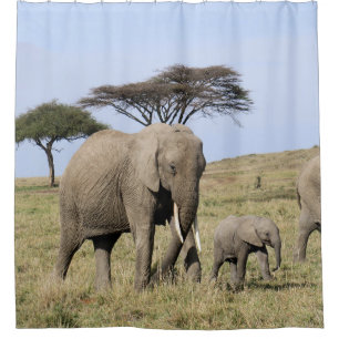 Elephant & Baby shower curtain
