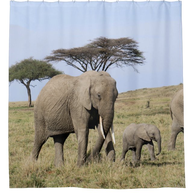 Elephant & Baby shower curtain (Front)