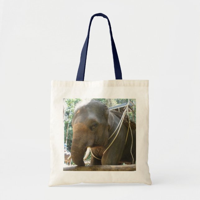 Elephant Bag (Front)