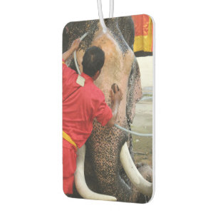 Elephant Bathtime ... Ayutthaya, Thailand Car Air Freshener