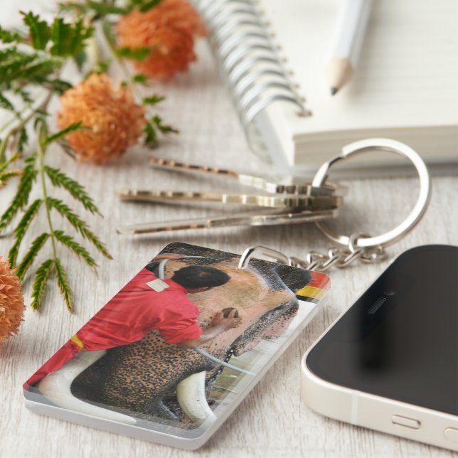 Elephant Bathtime ... Ayutthaya, Thailand Key Ring (Front Right)