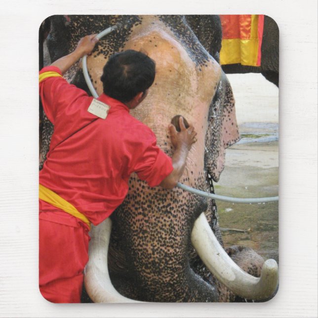 Elephant Bathtime ... Ayutthaya, Thailand Mouse Mat (Front)