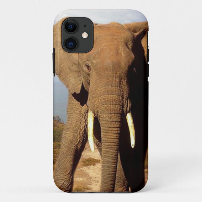 Elephant Beach Day Outing, Case-Mate iPhone Case (Back)