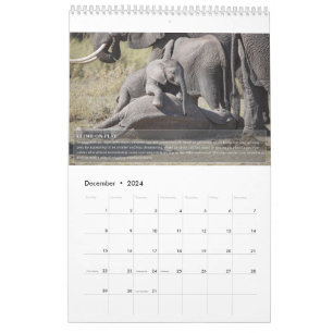 Elephant Behaviour Calendar