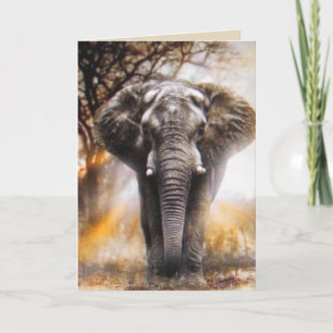 Elephant Birthday Card