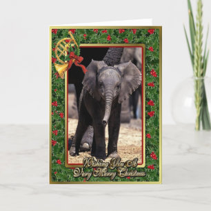 Elephant Blank Christmas Card