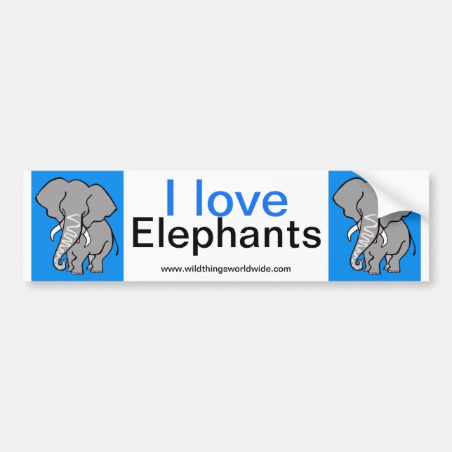 Elephant - bumper sticker (Front)