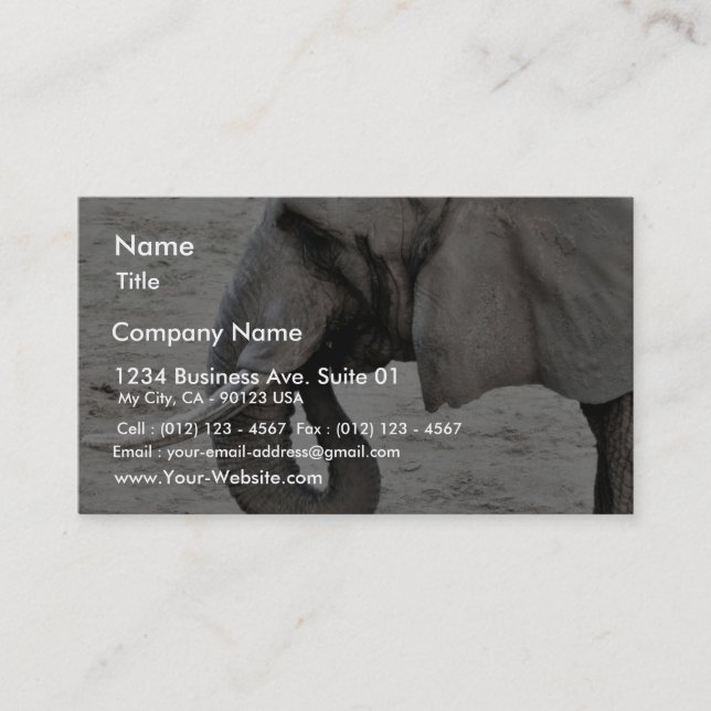 Elephant Business Card (Front)