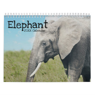 Elephant Calendar