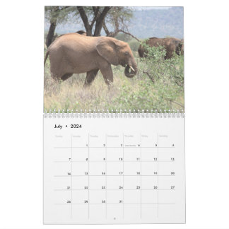 Elephant Calendar 