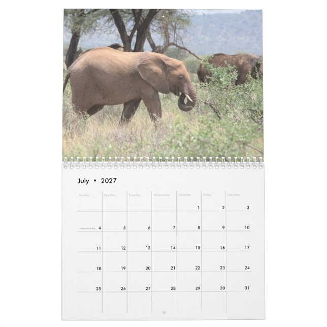 Elephant Calendar  (Jul 2027)