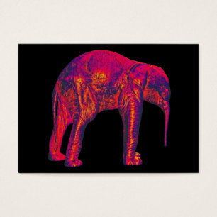 Elephant Calf, Red/Pink, Black Back