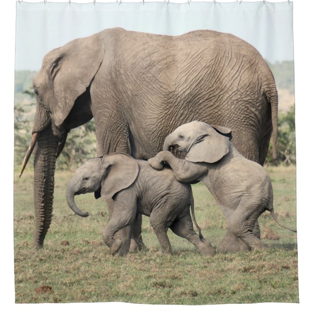 Elephant Calves Playing shower curtain (Front)