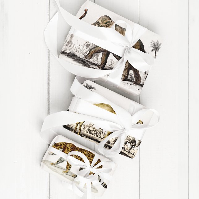 Elephant, Camel and Leopard by D'Orbigny Wrapping Paper Sheet (Creator Uploaded)