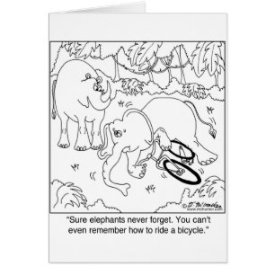 Elephant Can’t Remember How To Ride A Bike