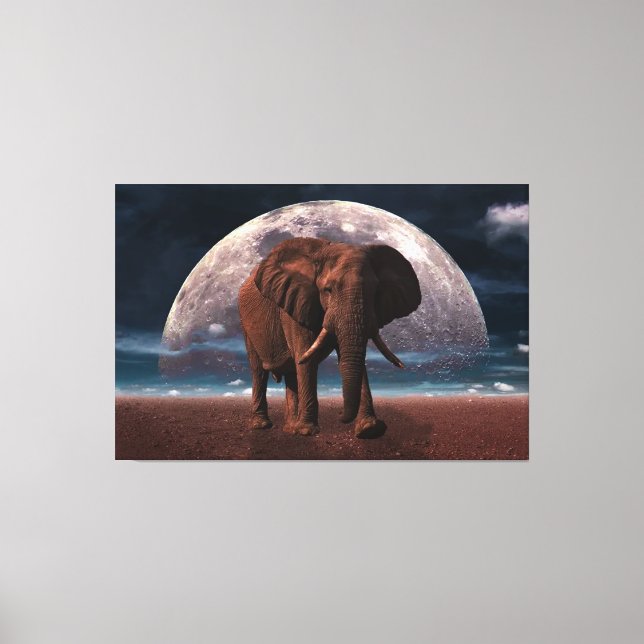 Elephant Canvas Print (Front)