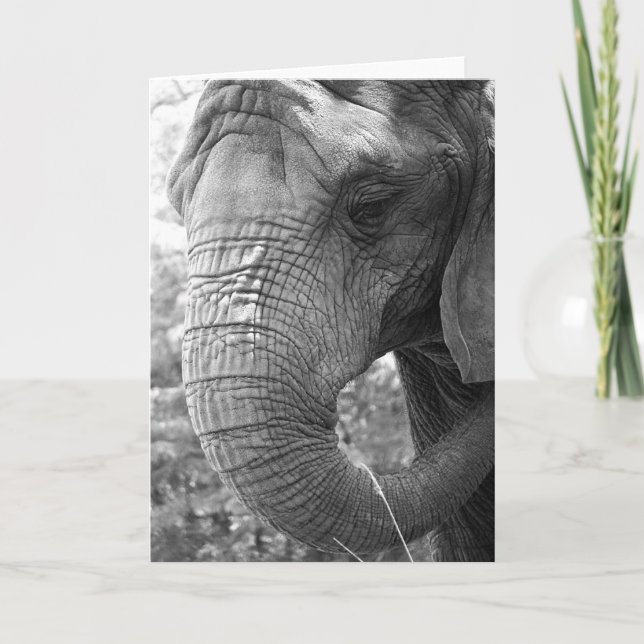 Elephant Card (Front)