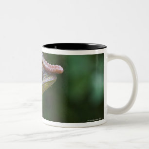 Elephant chameleon, Madagascar Two-Tone Coffee Mug