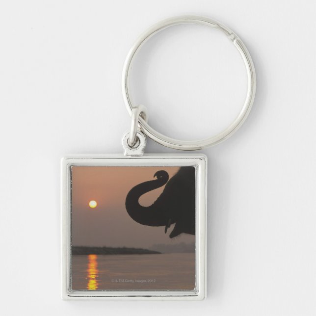 Elephant, Chitwan National Park, Nepal Key Ring (Front)