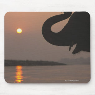 Elephant, Chitwan National Park, Nepal Mouse Mat