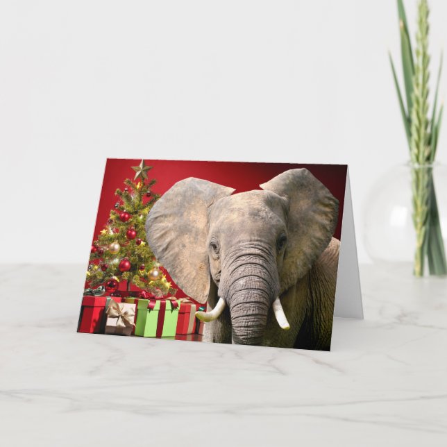 Elephant Christmas Greetings Card (Front)