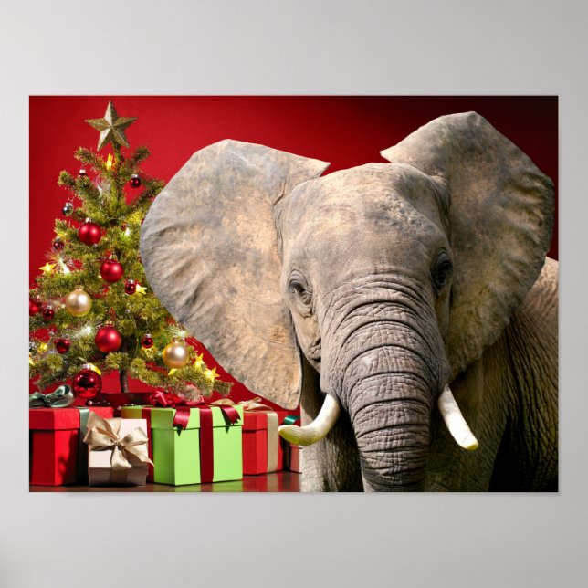 Elephant Christmas Greetings Poster (Front)