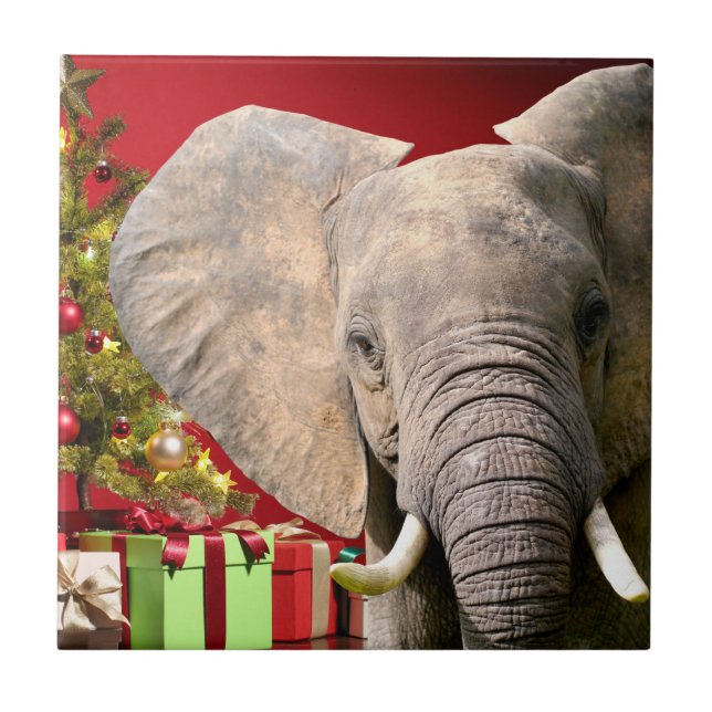 Elephant Christmas Greetings Tile (Front)