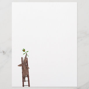 Elephant climbing a ladder