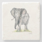 Elephant coaster